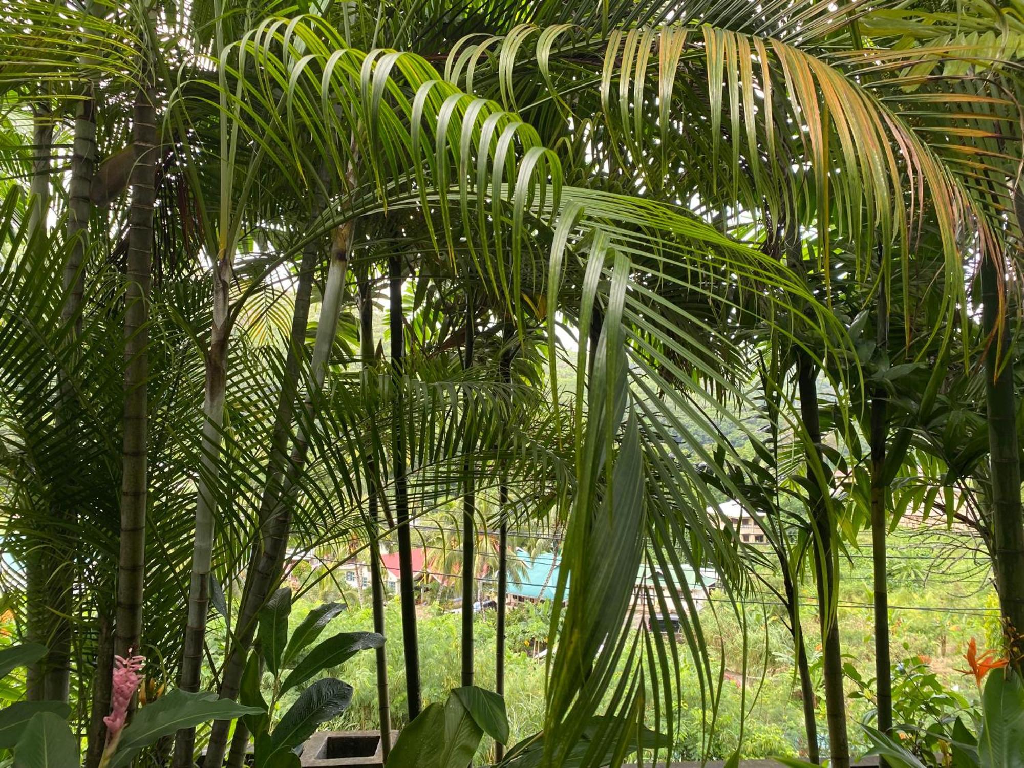 Stephna Residence Anse Boileau Luaran gambar